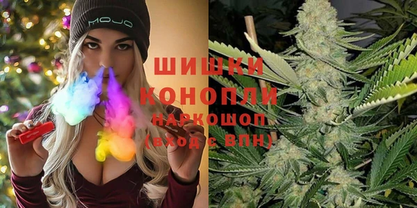 гашик Богородицк