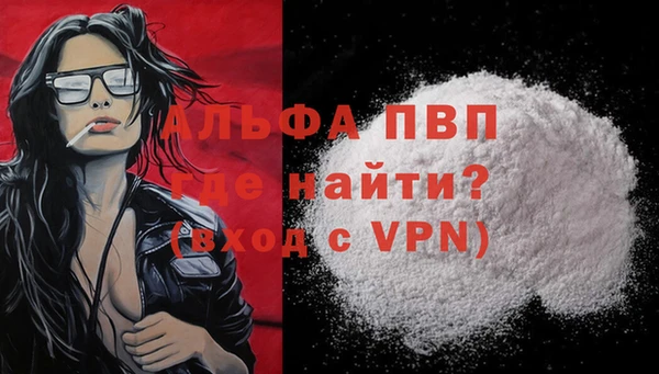 гашик Богородицк