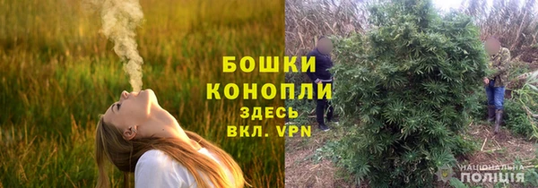 бутират Бородино