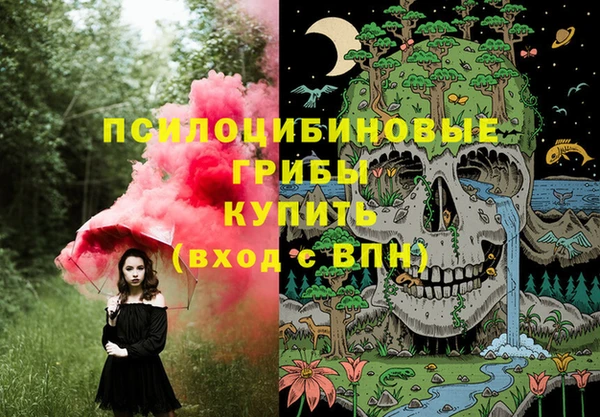 гашик Богородицк